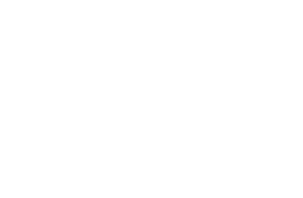 Bridge Trade